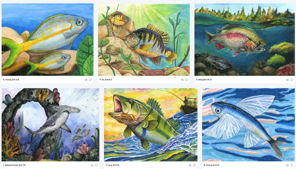 Texas Parks and Wildlife Department Announces State Fish Art Contest Winners for 2027 Calendar and Exhibit